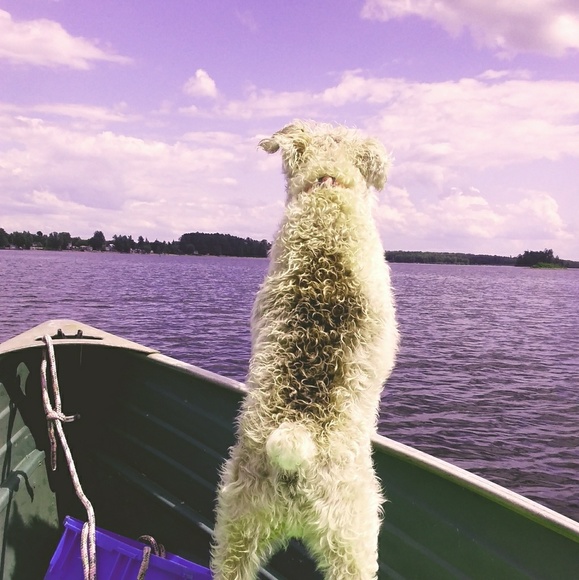 Meet your Posher, Mary - Picture 4 of 8